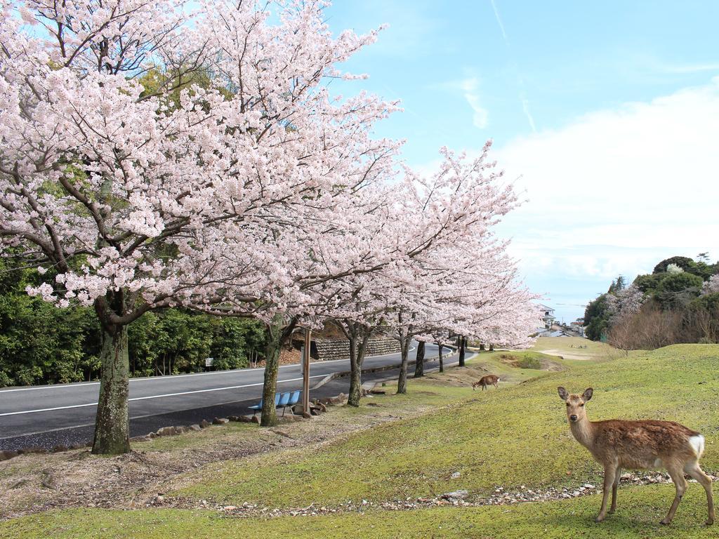 Miyajima Seaside Hotel Itsukushima Екстер'єр фото